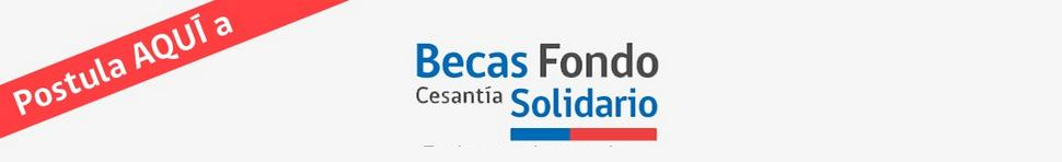 fondo-cesantia-solidario2